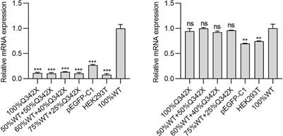 A novel AIRE mutation leads to autoimmune polyendocrine syndrome type-1